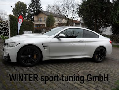 Bmw M2m3m4 F Modelle